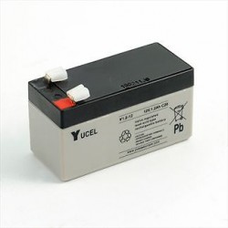 Batterie YUCEL Y1.2-12