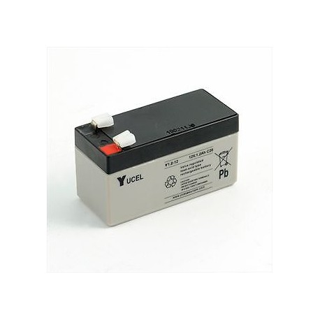 Batterie YUCEL Y1.2-12