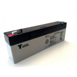 Batterie YUCEL Y2.1-12