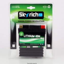 Batteries Lithium Skyrich