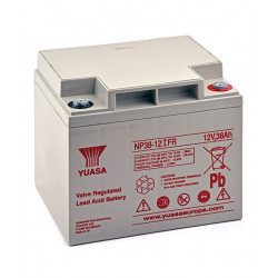 Batteries NP38-12IFR